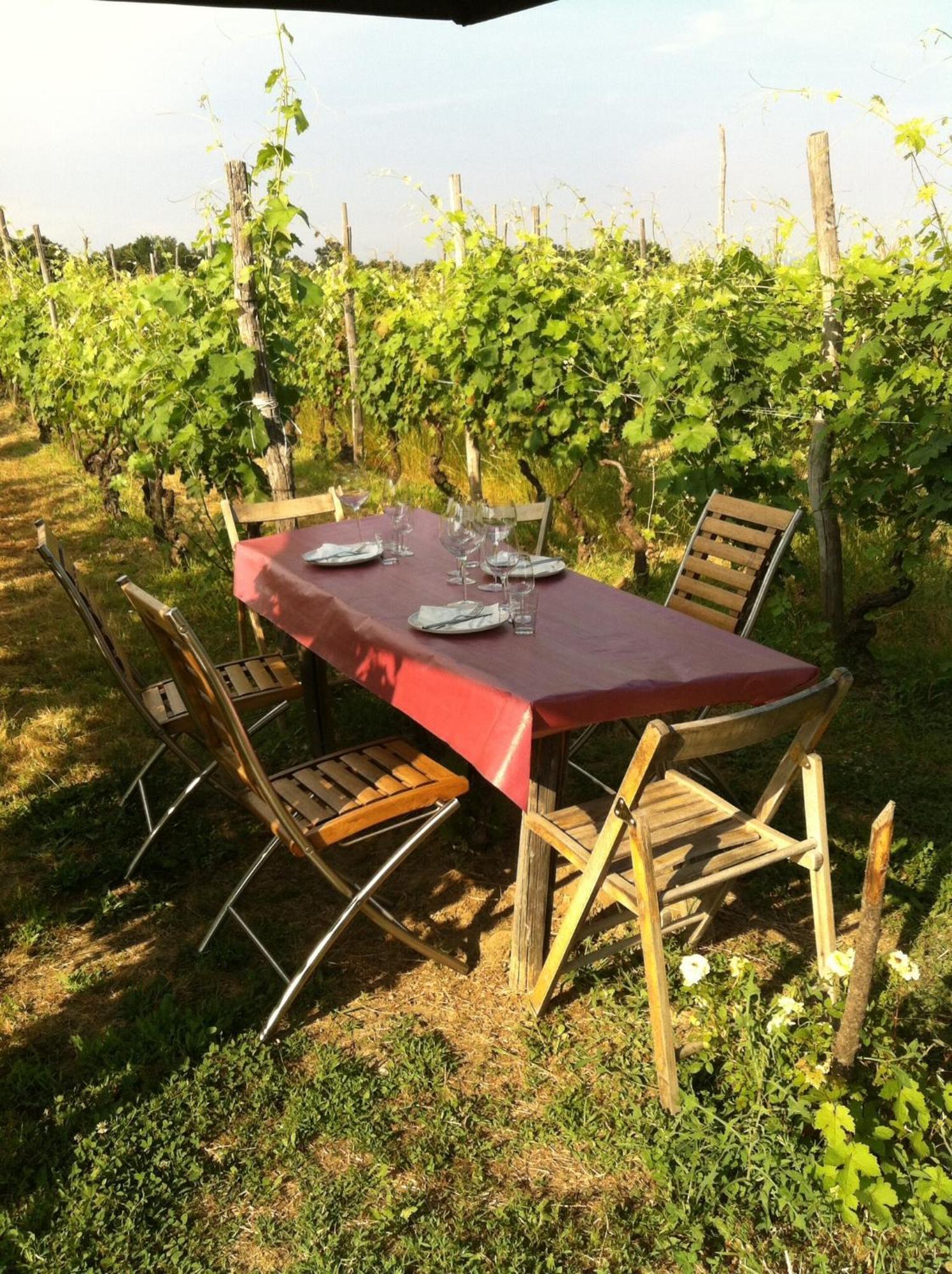 فيلا Cascina La Maddalena Bed & Wine Rocca Grimalda المظهر الخارجي الصورة