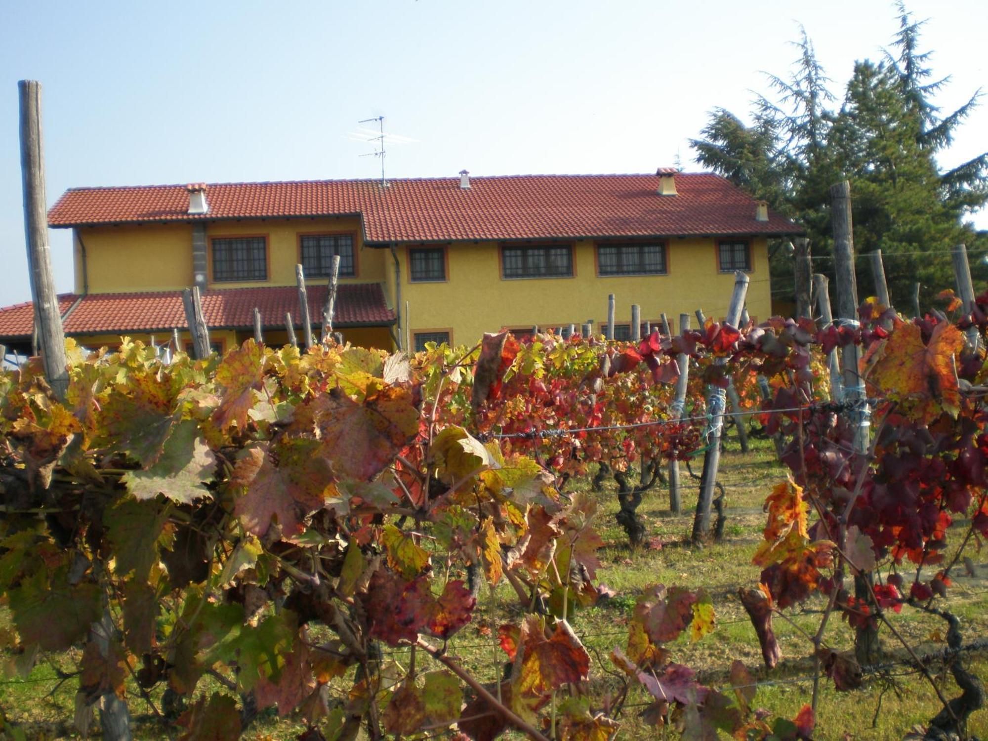 فيلا Cascina La Maddalena Bed & Wine Rocca Grimalda المظهر الخارجي الصورة