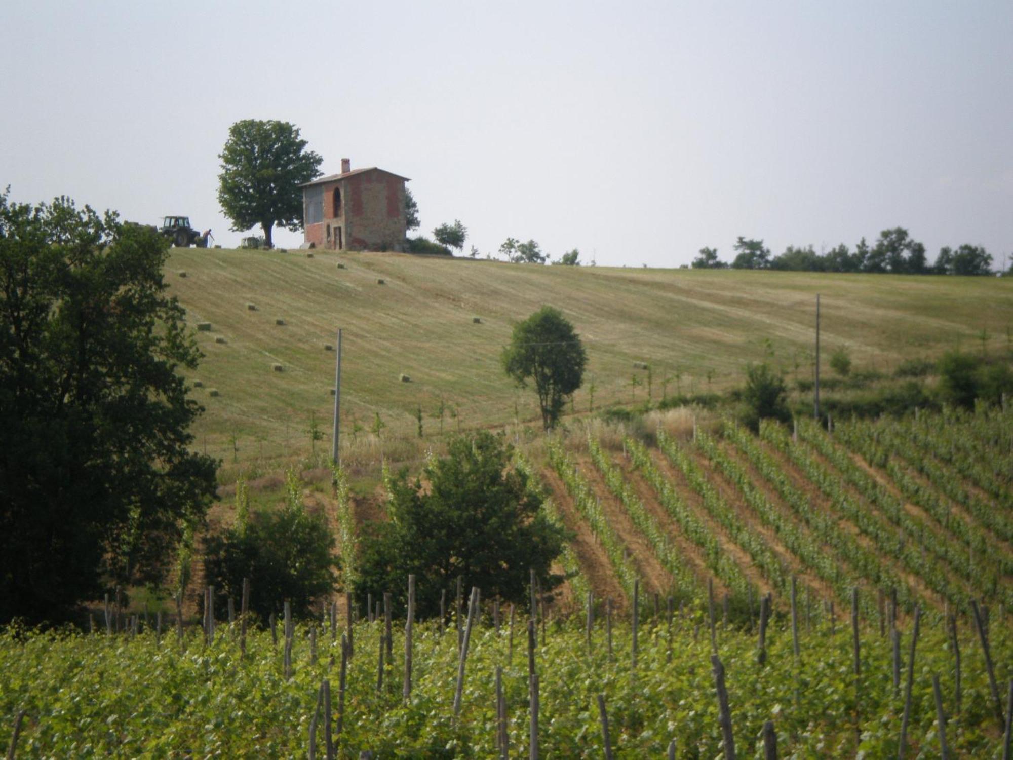 فيلا Cascina La Maddalena Bed & Wine Rocca Grimalda المظهر الخارجي الصورة