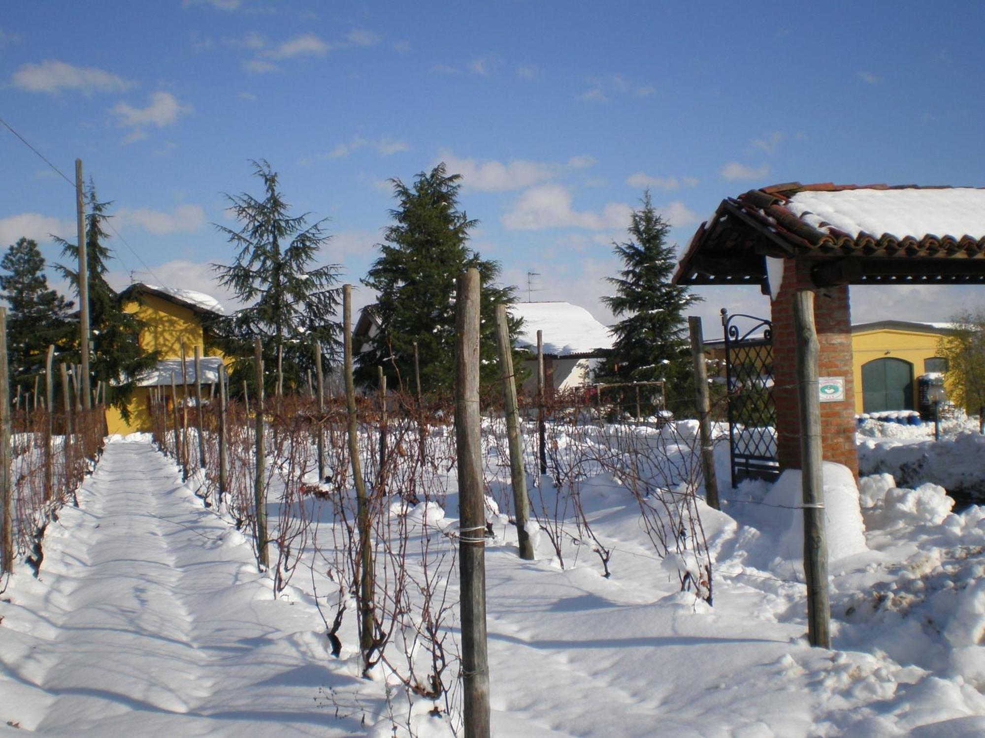 فيلا Cascina La Maddalena Bed & Wine Rocca Grimalda المظهر الخارجي الصورة